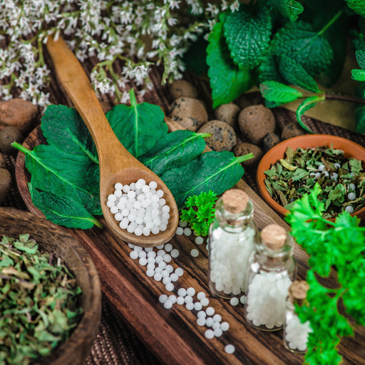 Homöopathische Globuli umrahmt von Kräutern